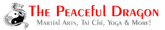The-Peaceful-Dragon-Charlotte-Kung-Fu-logo