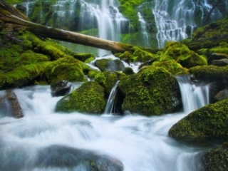 Chips Falls 2-2.jpg Chips Falls 2-2.jpg